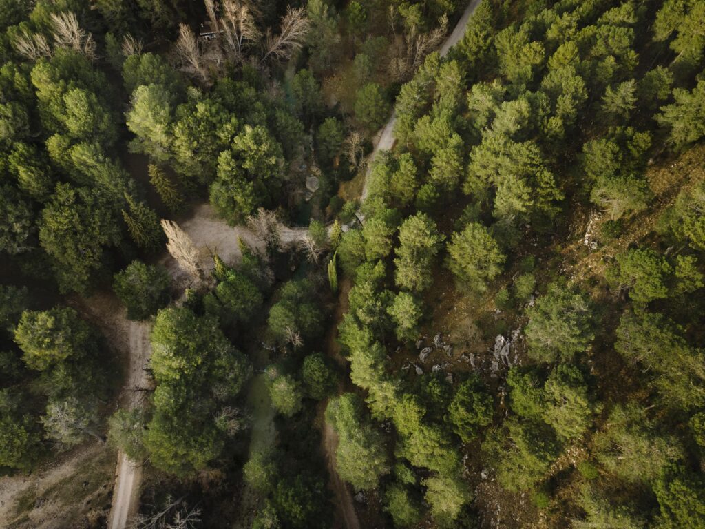 aerial-scenery-view-forests